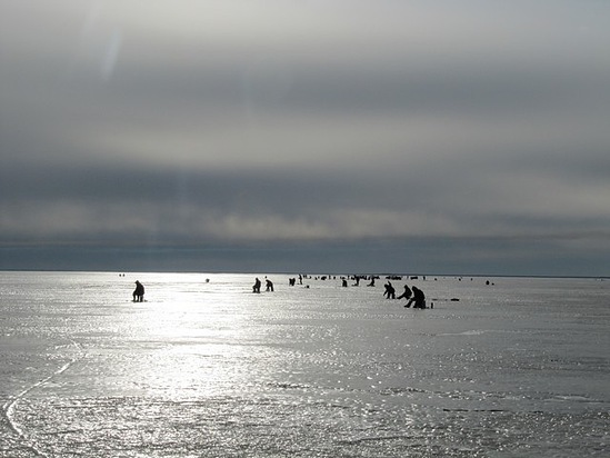 Отчет о рыбалке. Ловля наваги на зимнюю блесну на границе Белого моря.