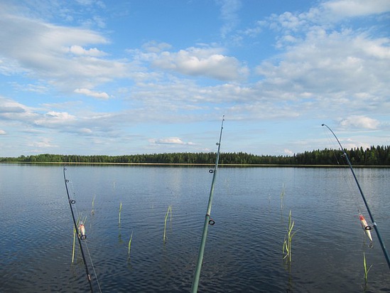 Отчет о летнеей рыбалке. Ловля на воблер 