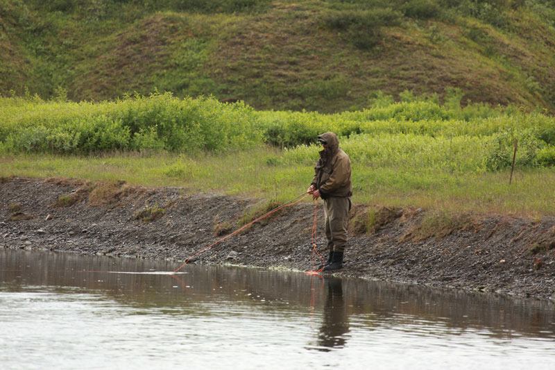 Отчет о рыбалке на хариуса на реке Воркута. Ловля нахлыстом на блесна Аква.