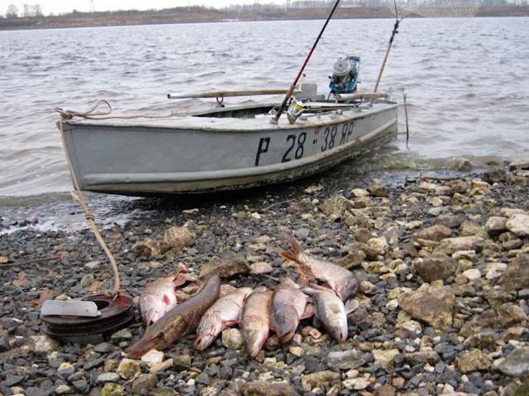 Отчет о рыбалке на зимние блесна на окуня и щуку. Блесна Кобра.