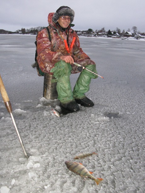 Статья о балансире Aqua Ice Angel