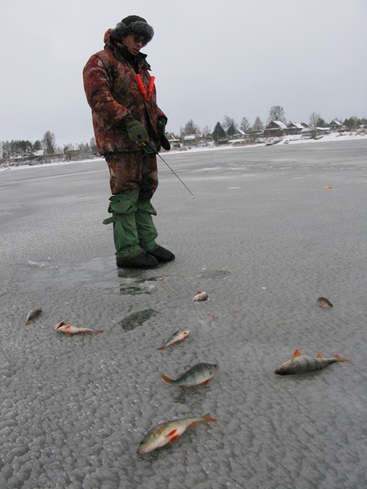 Статья о балансире Aqua Ice Angel
