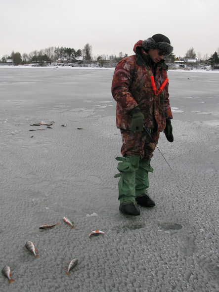 Статья о балансире Aqua Ice Angel