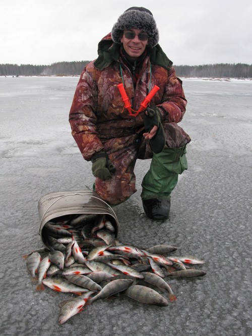 Статья о балансире Aqua Ice Angel