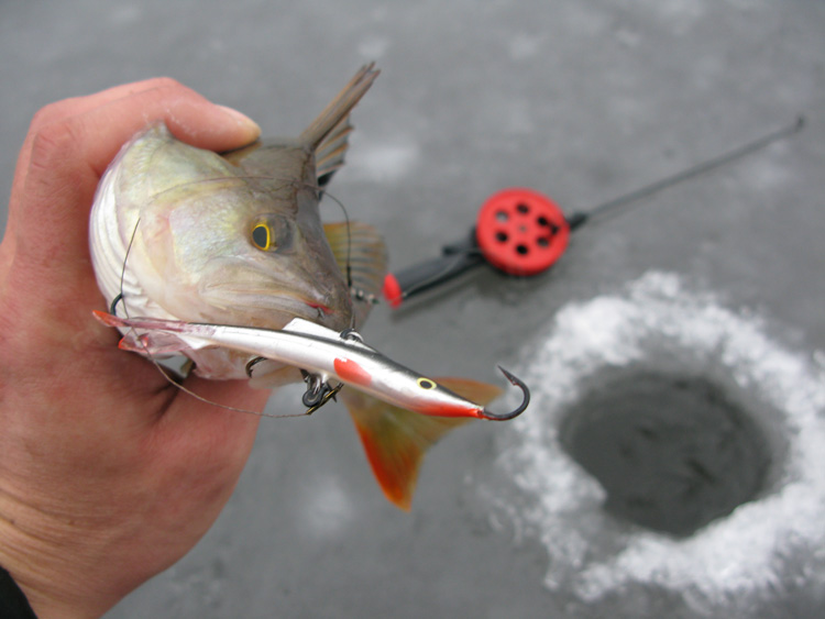 Статья о балансире Aqua Ice Angel