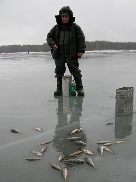 Статья о балансире Aqua Ice Angel