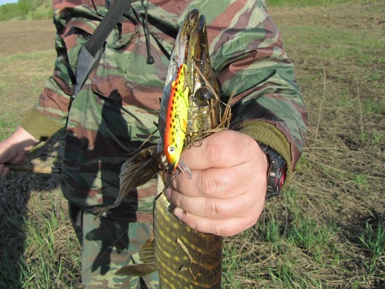 Воблер Щука творит чудеса. Статья о рыбалке.