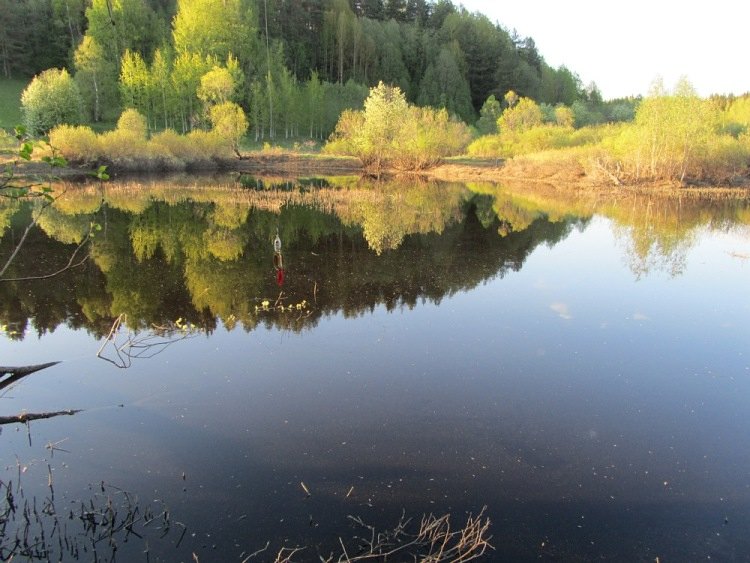 Воблер Щука творит чудеса. Статья о рыбалке.