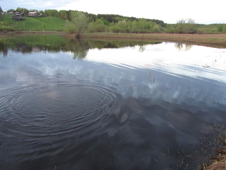 Воблер Щука творит чудеса. Статья о рыбалке.