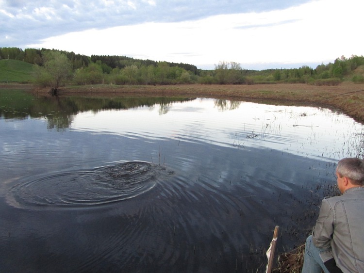 Воблер Щука творит чудеса. Статья о рыбалке.