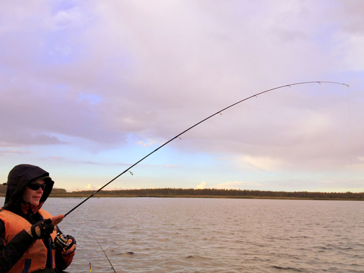 Рыбалка на Ладоге. Ловля щуки на блесна-вертушки (обычные и тандем).