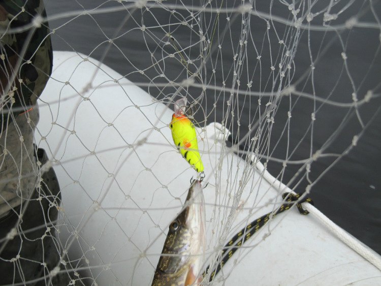 Статья о рыбалки на воблеры. Вылов трофейного экземпляра щуки на вечернем клеве. Эхолот в помощь рыбаку.