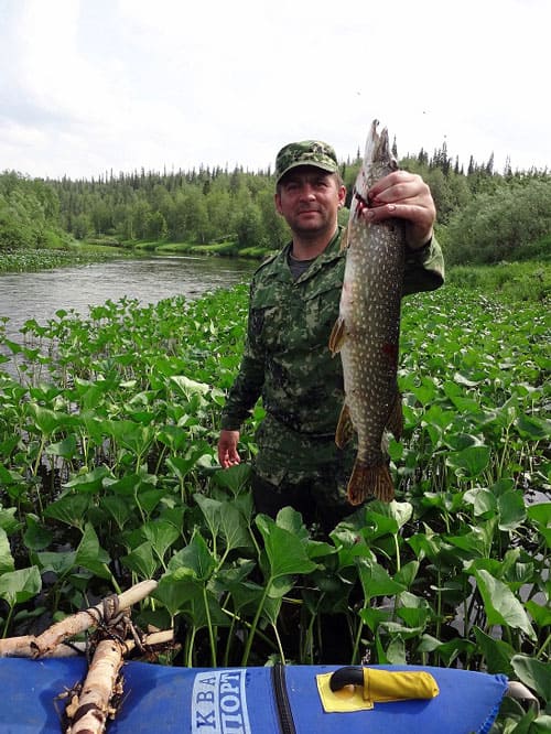 Рыбалка на реках Приполярного Урала с блеснами AQUA