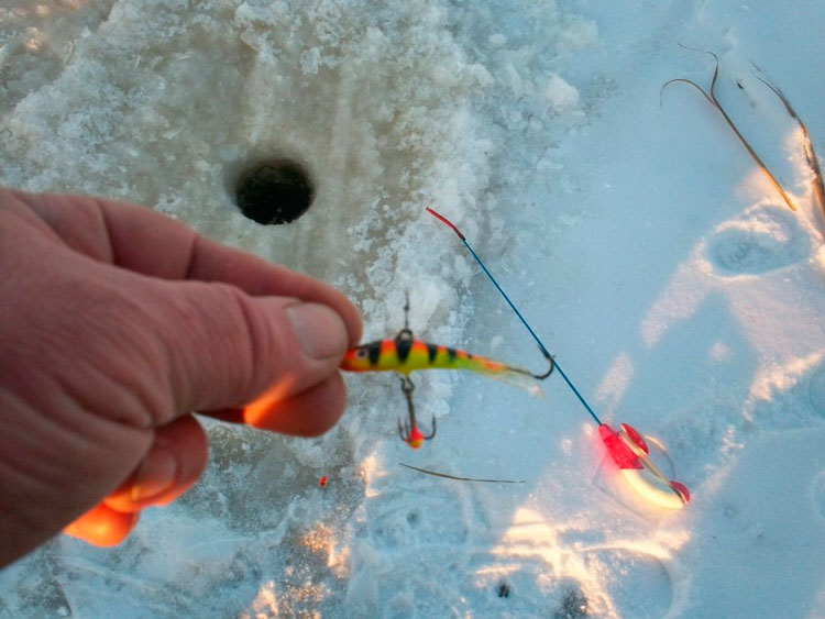 Зимняя рыбалка на Ладоге с балансирами AQUA