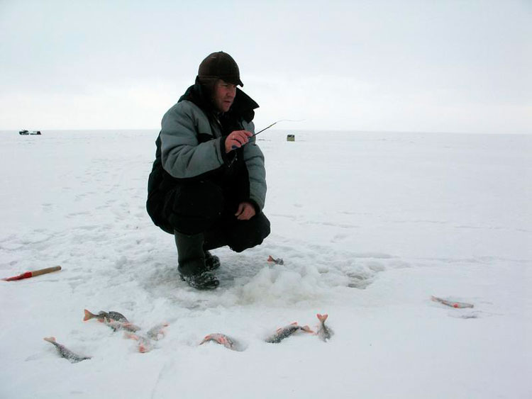 Зимняя рыбалка на окуня с балансиром