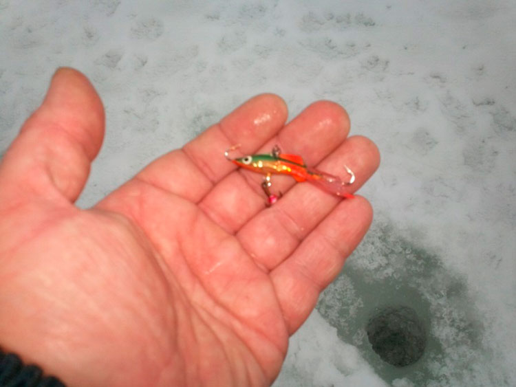 Фотоотчет о зимней рыбалке на Ладоге у Дубно с балансиром Аква Айс Ангел