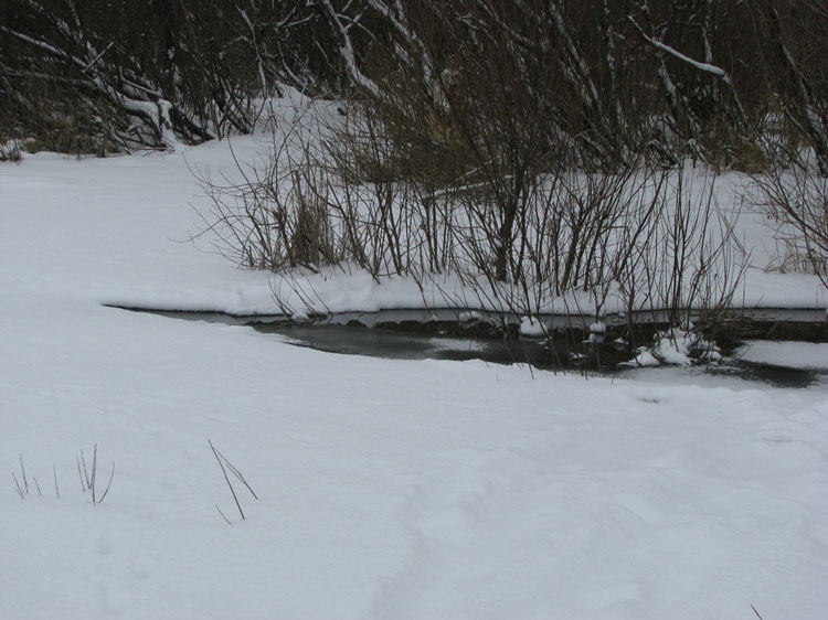Фотоотчет о зимней рыбалке на реке Ока с балансирами Aqua