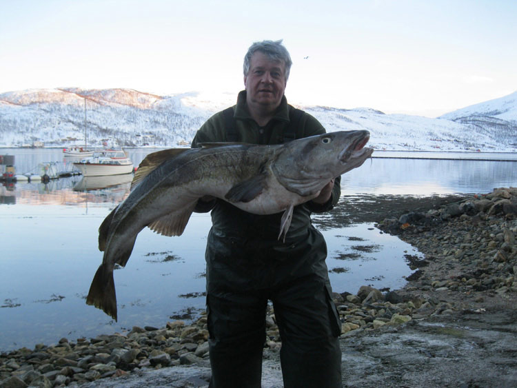 Фотоотчет о  трофейной рыбалке в Норвегии с морскими снастями Aqua