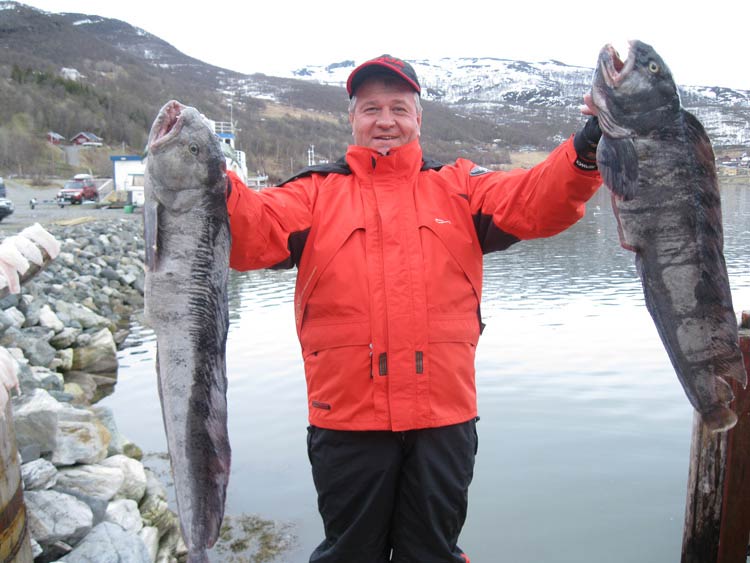 Фотоотчет о  трофейной рыбалке в Норвегии с морскими снастями Aqua