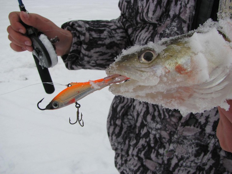 Фотоотчет о зимней рыбалке на реке Ока с зимними блеснами Аква