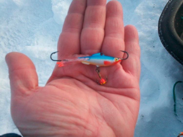 Статья о зимней рыбалке на Ладоге близ Крениц с балансирами Aqua