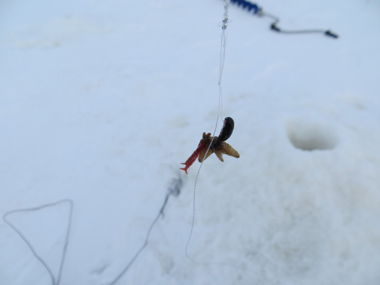 Отчет о зимней рыбалке с балансиром Runner