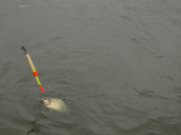Фотоотчет об осенней рыбалке на карася