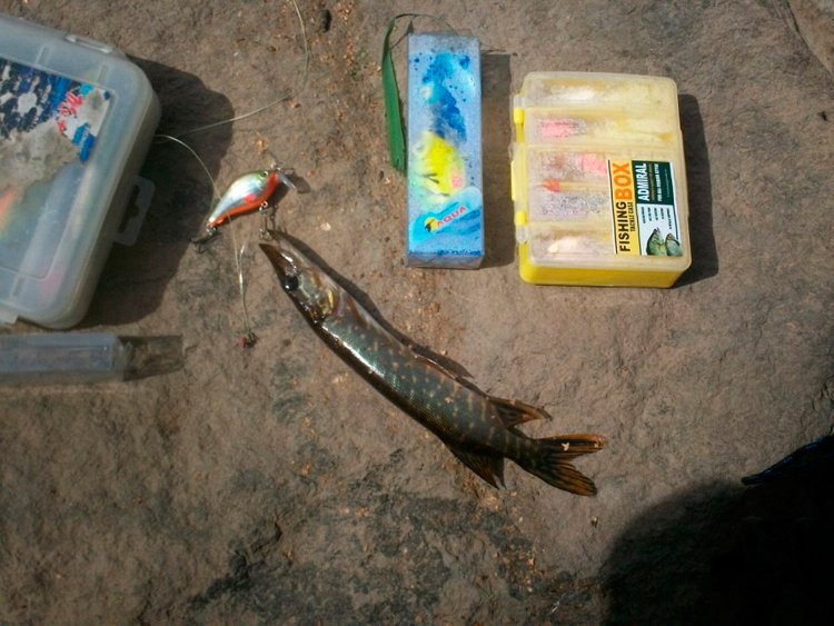 Фотоотчет о летней рыбалке на щуку с блеснами AQUA