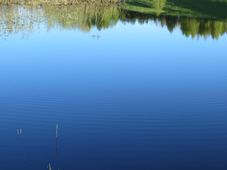 Фотоотчет о летней рыбалке на первую щуку с блеснами AQUA Фотоотчет о летней рыбалке на первую щуку с блеснами AQUA