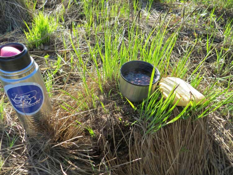 Фотоотчет о летней рыбалке на первую щуку с блеснами AQUA Фотоотчет о летней рыбалке на первую щуку с блеснами AQUA