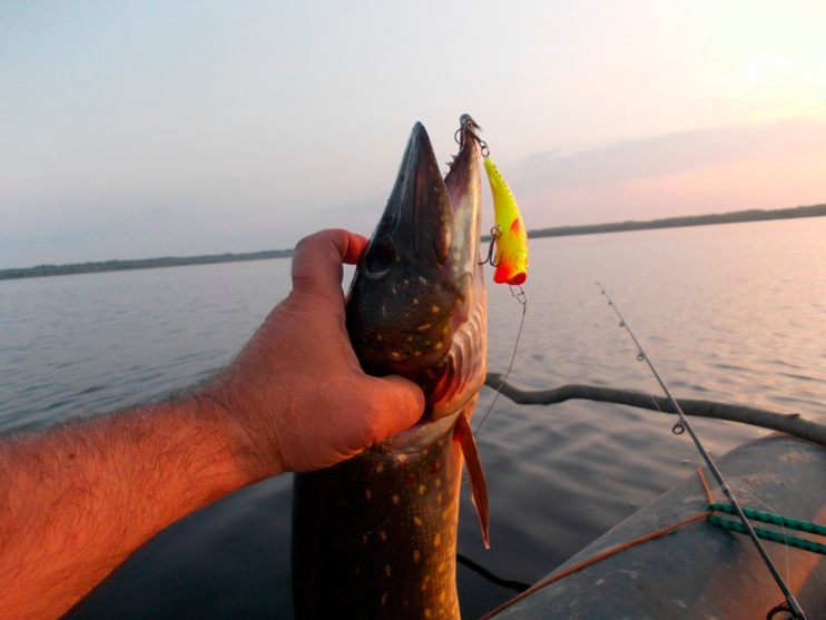 Статья о летней рыбалке на спиннинг с приманками AQUA.