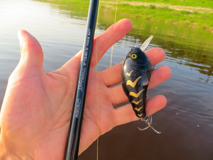 Фотоотчет о летней рыбалке на щуку со снастями Aqua