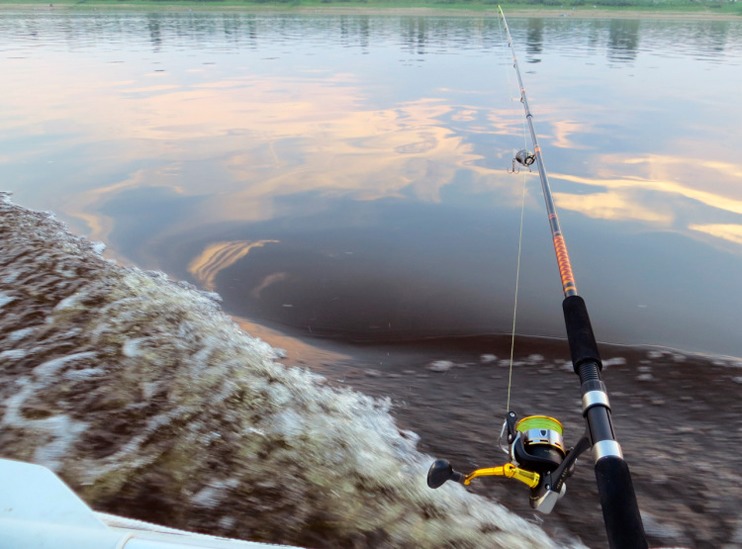 Фотоотчет о летней рыбалке на щуку со снастями Aqua