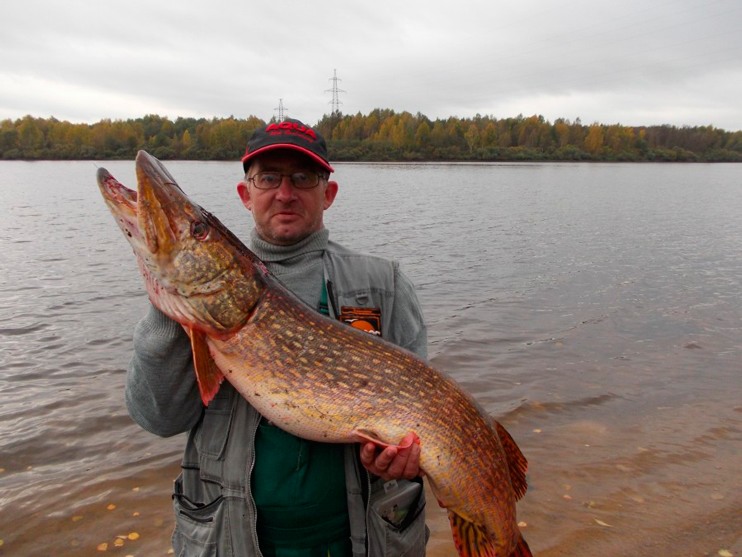 Фотоотчет о рыбалке на трофейную щуку на реке Волхов со снастями компании AQUA.
