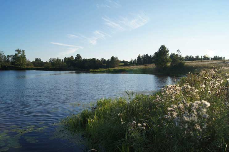 Отчет о рыбалке с воблерами AQUA в Ярославской области.