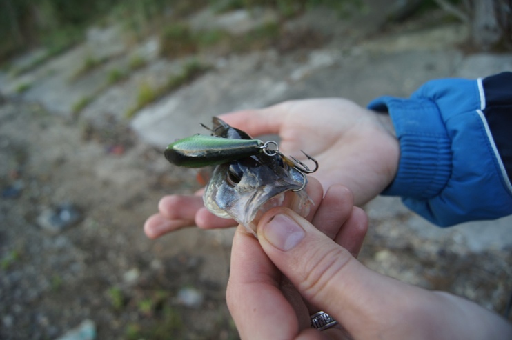 Статья о рыбалке в Ярославской области со снастями Aqua.