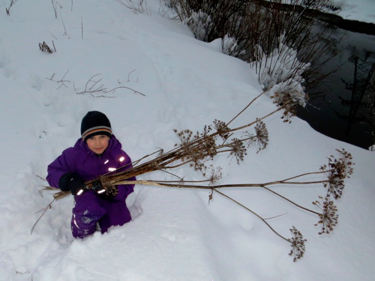 Фотоотчет о зимней рыбалке на окуня в Архангельской области с зимними снастями Аква.