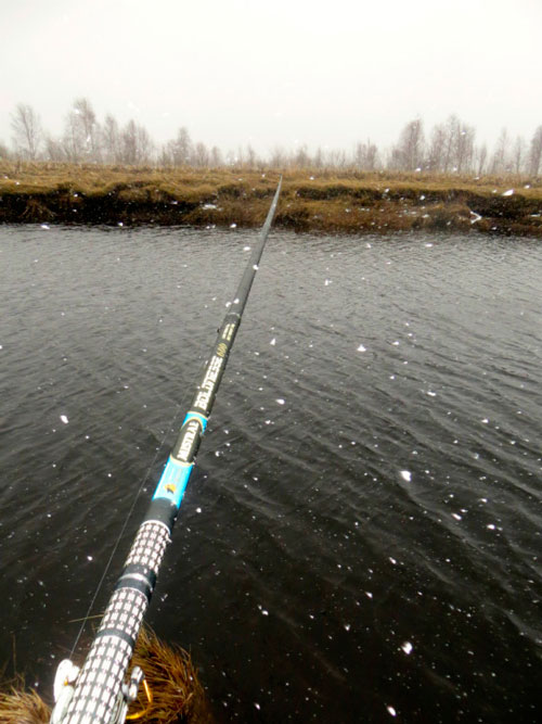 Статья о первой в новом сезоне рыбалке на поплавочное удилище AQUA Mistral.