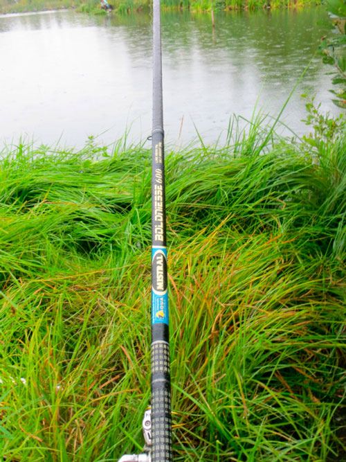 Фотоотчет о рыбалке на карася на поплавок с удилищем Aqua Mistral.