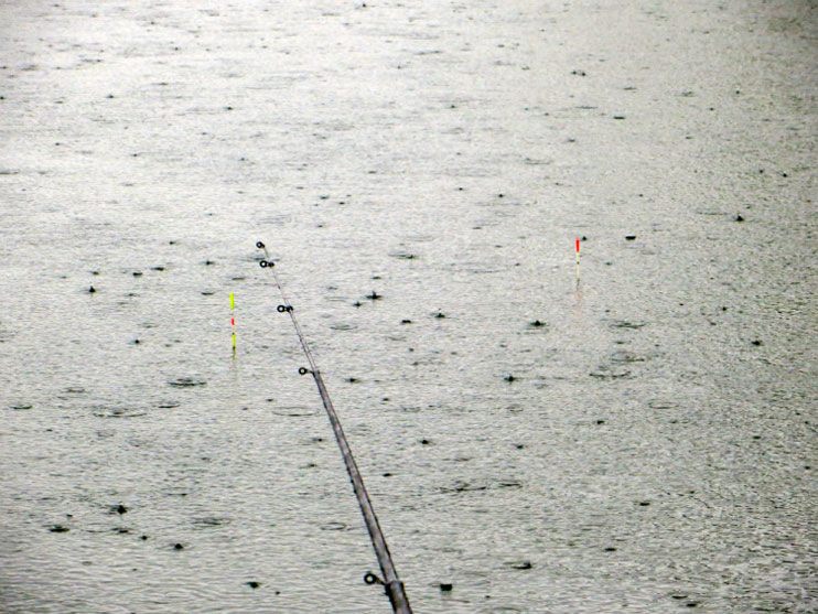 Фотоотчет о рыбалке на карася на поплавок с удилищем Aqua Mistral.