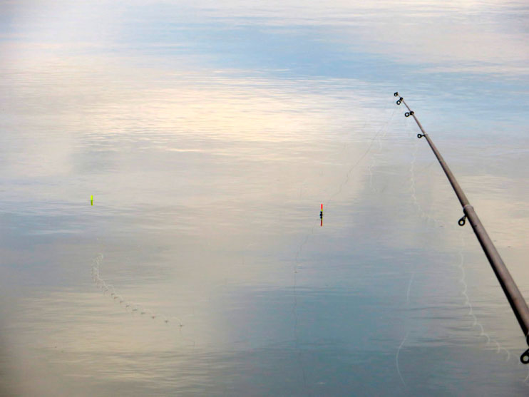 Фотоотчет о рыбалке на карася на поплавок с удилищами Aqua.