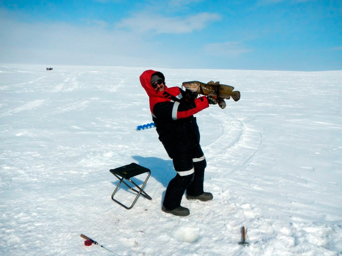 Фотографии о статье рыбалки в Арктике. Ловля налима.
