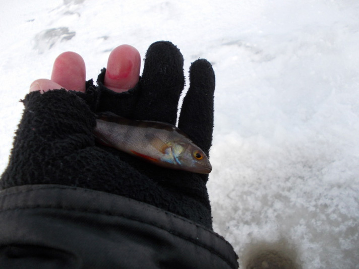 Зимняя рыбалка на Ладоге.