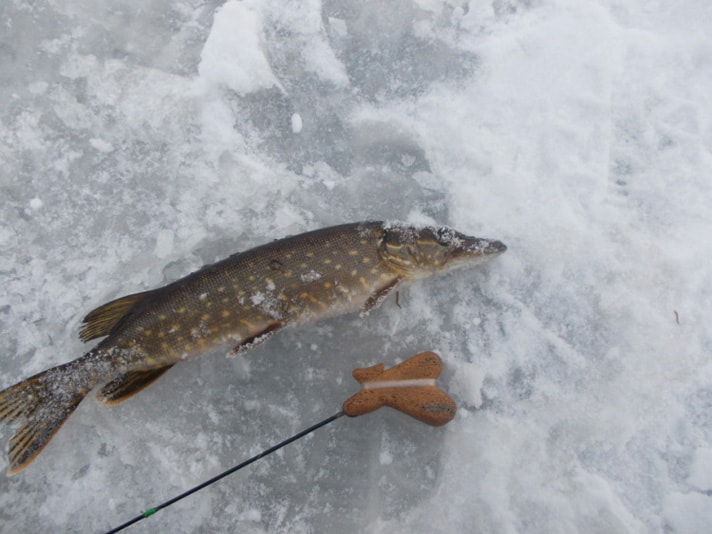 Зимняя рыбалка на Ладоге.