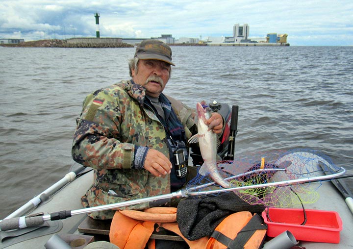 Отчет о рыбалке. Ловля судака со спиннингом Ryobi на твистеры Relax.