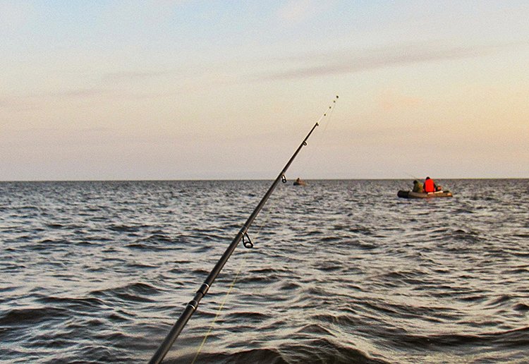 Рыбалка на Финском заливе. Тест спиннинга Ryobi Picky Perch. Ловля судака на уловистые силиконовые приманки Ryobi.