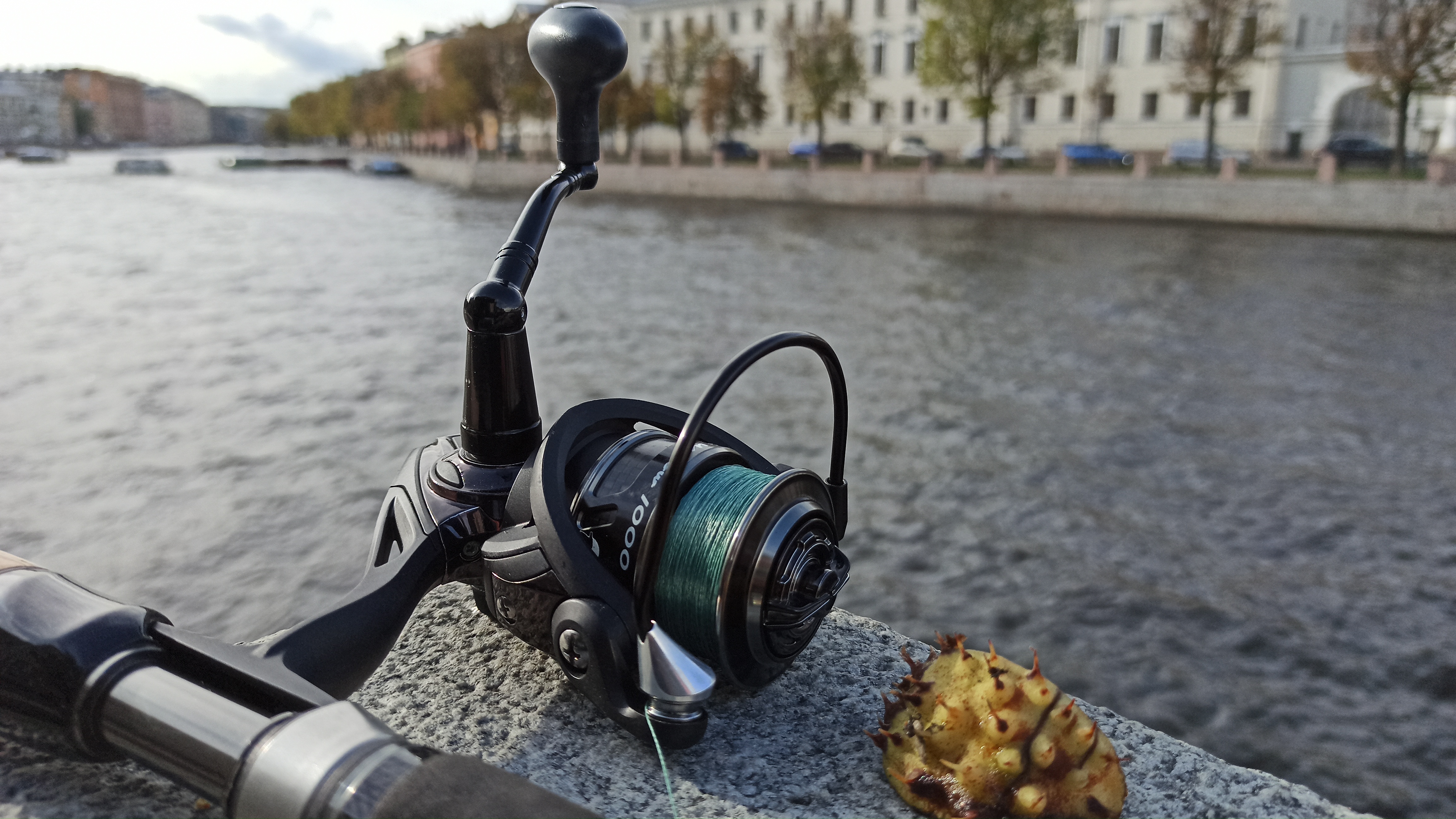 katushka-bezinertsionnaya--yuernaya-grafinya-aqua-black-widow