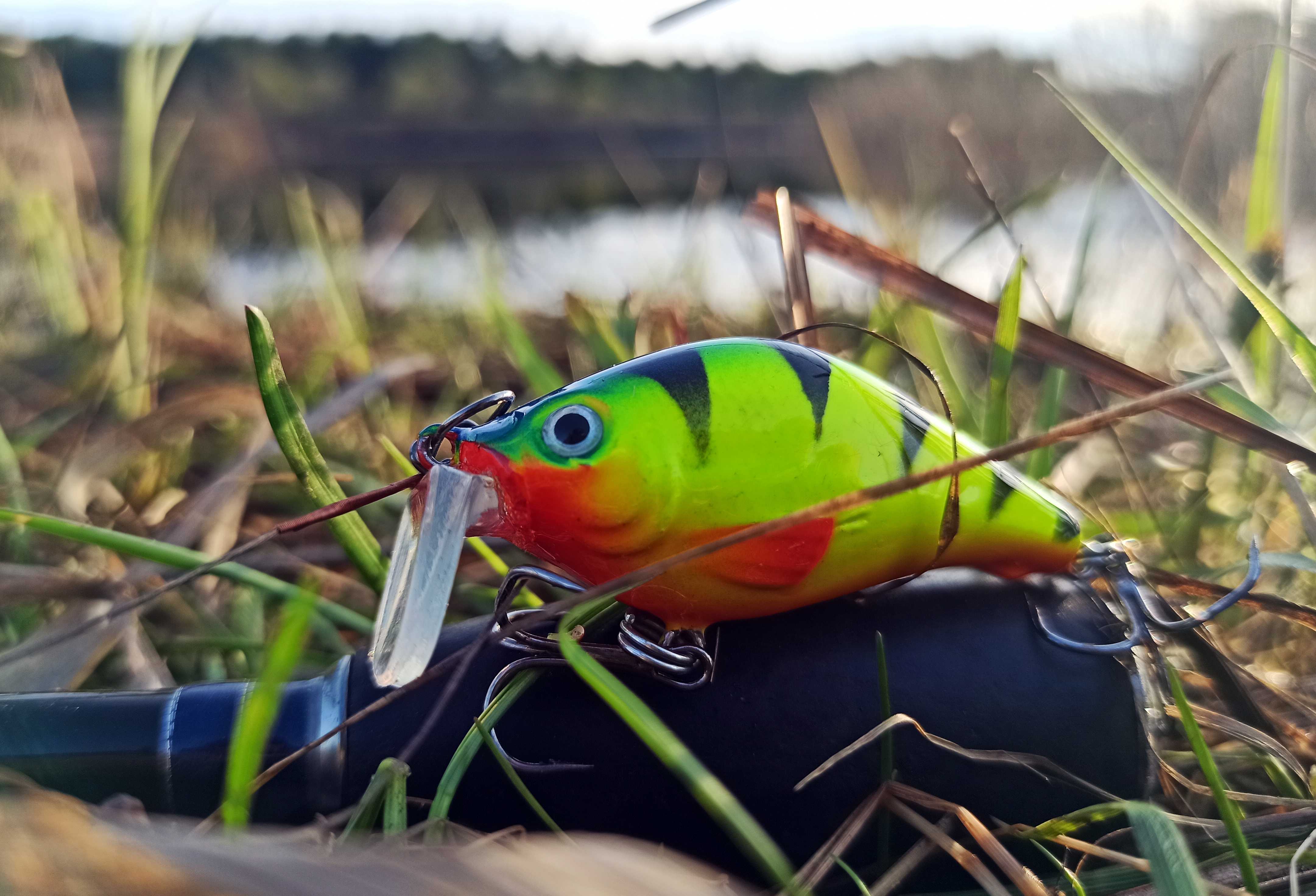 shchuka-lyubit-karasya