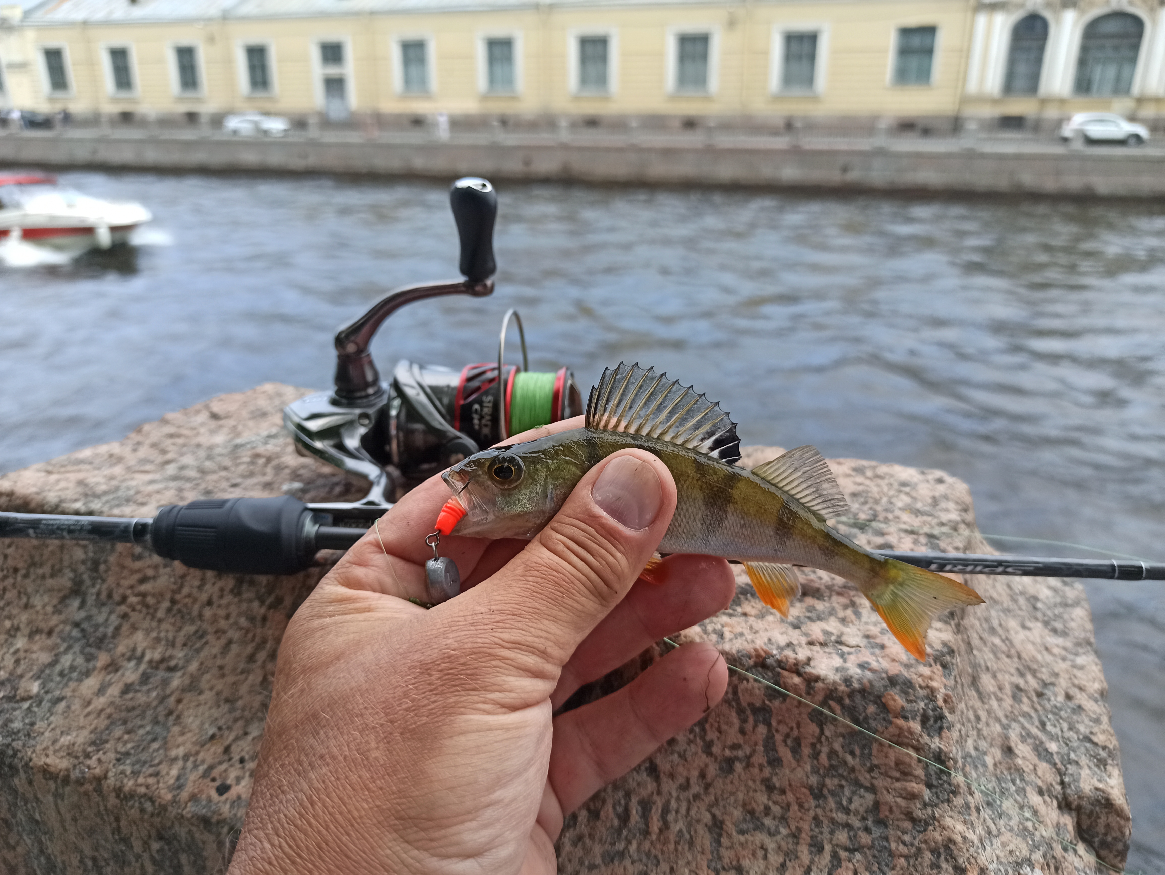 test-spinninga-aqua-spirit