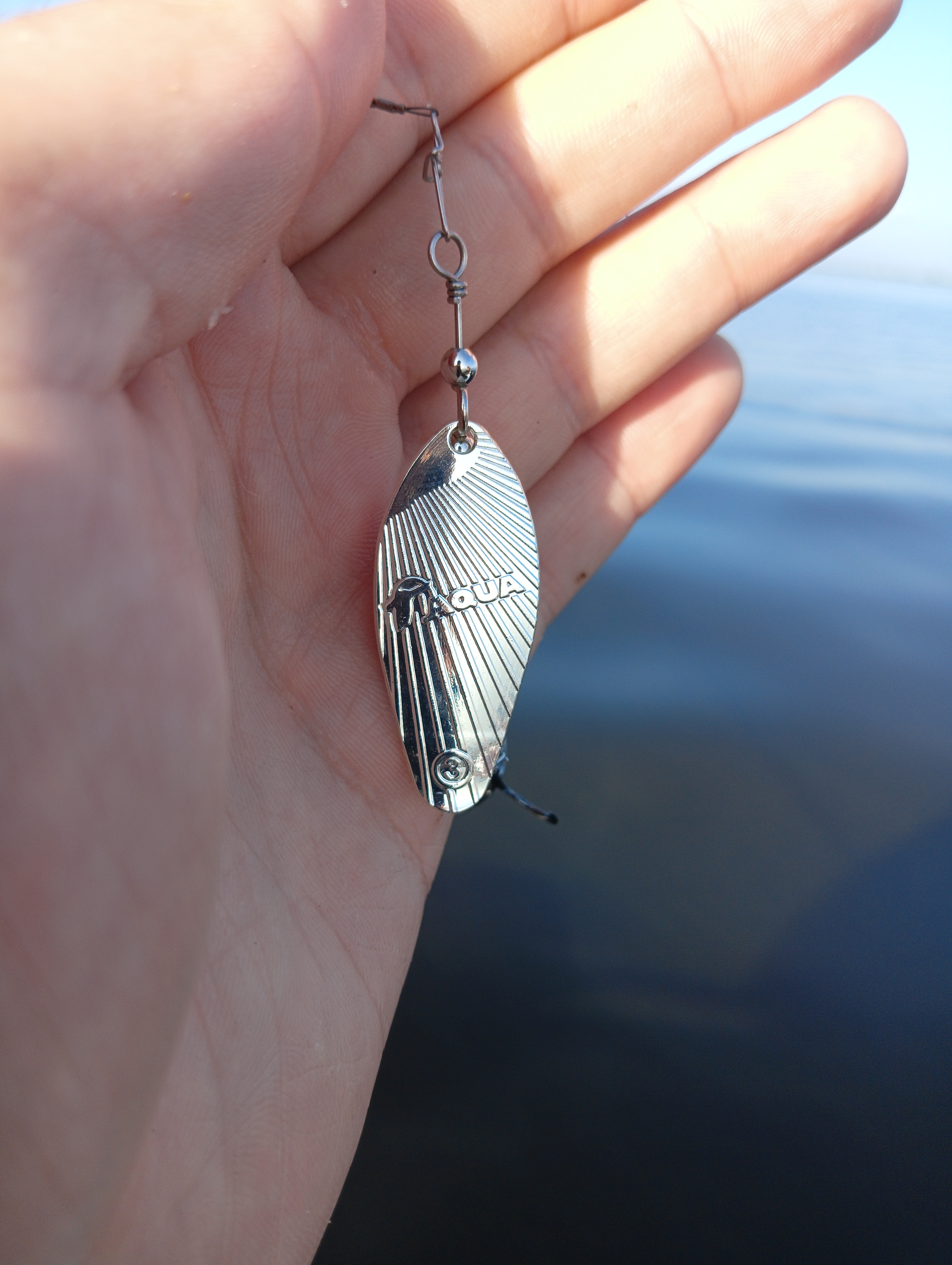 blesna-vertushka-aqua-shell blesna-vertushka-aqua-shell